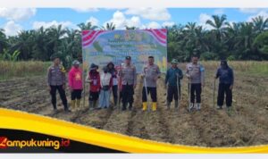 IMG_20260512_135216 Polsek Pelepat Dukung Swasembada pangan, Tanam Jagung di Dusun Gapura Suci