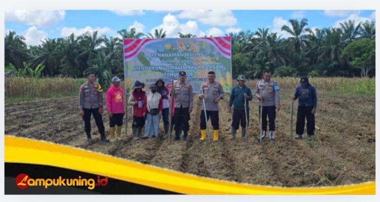 Polsek Pelepat Dukung Swasembada pangan, Tanam Jagung di Dusun Gapura Suci