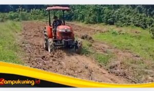 IMG_20260728_101707 Percepat Kesejahteraan, Satgas TMMD Ke-129 Kodim 0416/Bute Buka Lahan Ketahanan Pangan Bagi Warga Desa Tanjung Agung