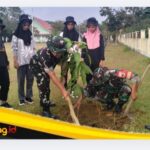 IMG_20260808_123850 Kepedulian Lingkungan Bagian Pengabdian Satgas TMMD Ke-129 Kodim 0416/Bute