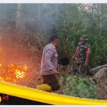 IMG_20260905_152044 Polsek Muko Muko Bathin VII Berjibaku Padamkan Api di Lahan Karet