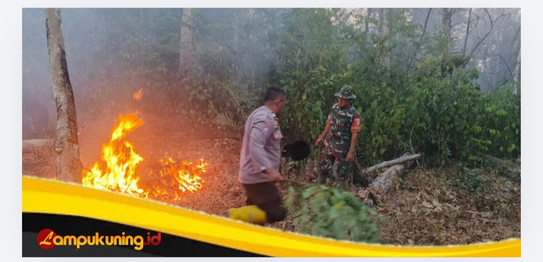 Polsek Muko Muko Bathin VII Berjibaku Padamkan Api di Lahan Karet 