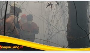 Polisi Melakukan Penyelidikan Terkait Terbakarnya Lahan Seluas 3 Hektar di Dusun Pauh Agung Limbur
