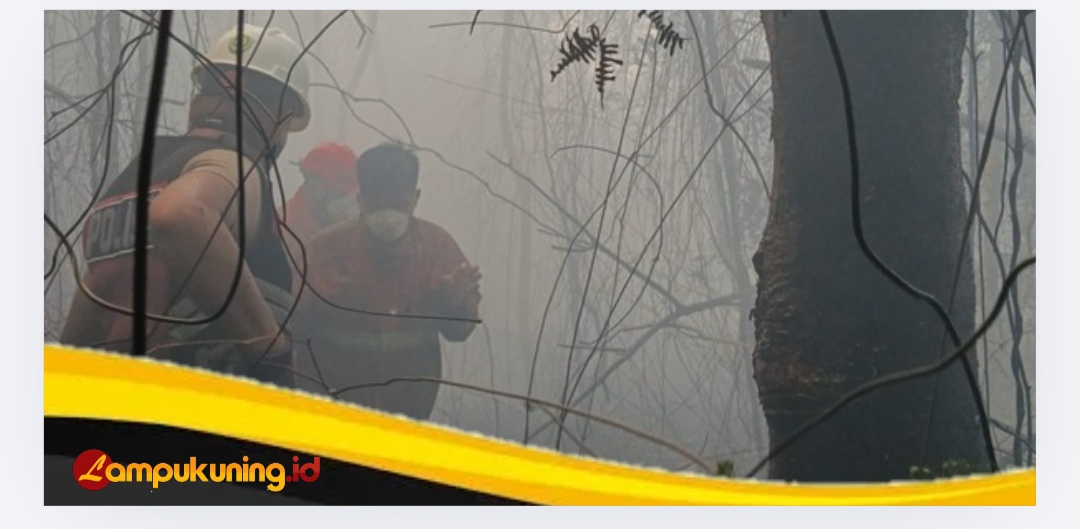 Polisi Melakukan Penyelidikan Terkait Terbakarnya Lahan Seluas 3 Hektar di Dusun Pauh Agung Limbur