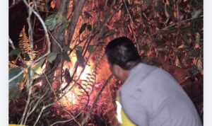 Polsek Bathin II Babeko bersama Masyarakat Berjibaku Padamkan Lahan Sawit dan Karet yang Terbakar