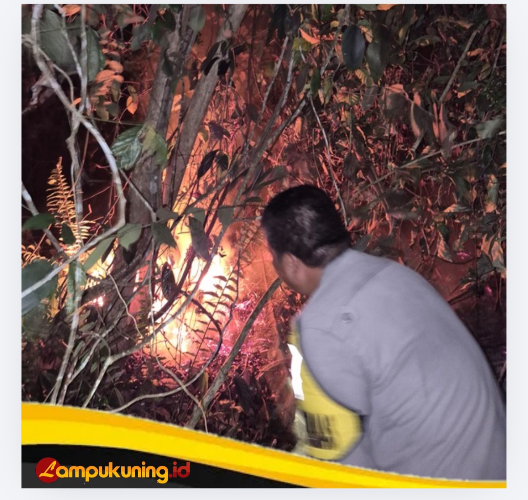 Polsek Bathin II Babeko bersama Masyarakat Berjibaku Padamkan Lahan Sawit dan Karet yang Terbakar
