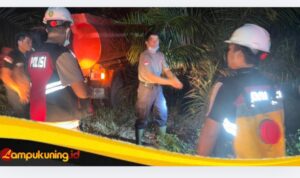 10 Hektar Lahan Kebun Karet dan Semak Belukar Terbakar, Petugas Menduga Api Berasal dari Puntung Rokok