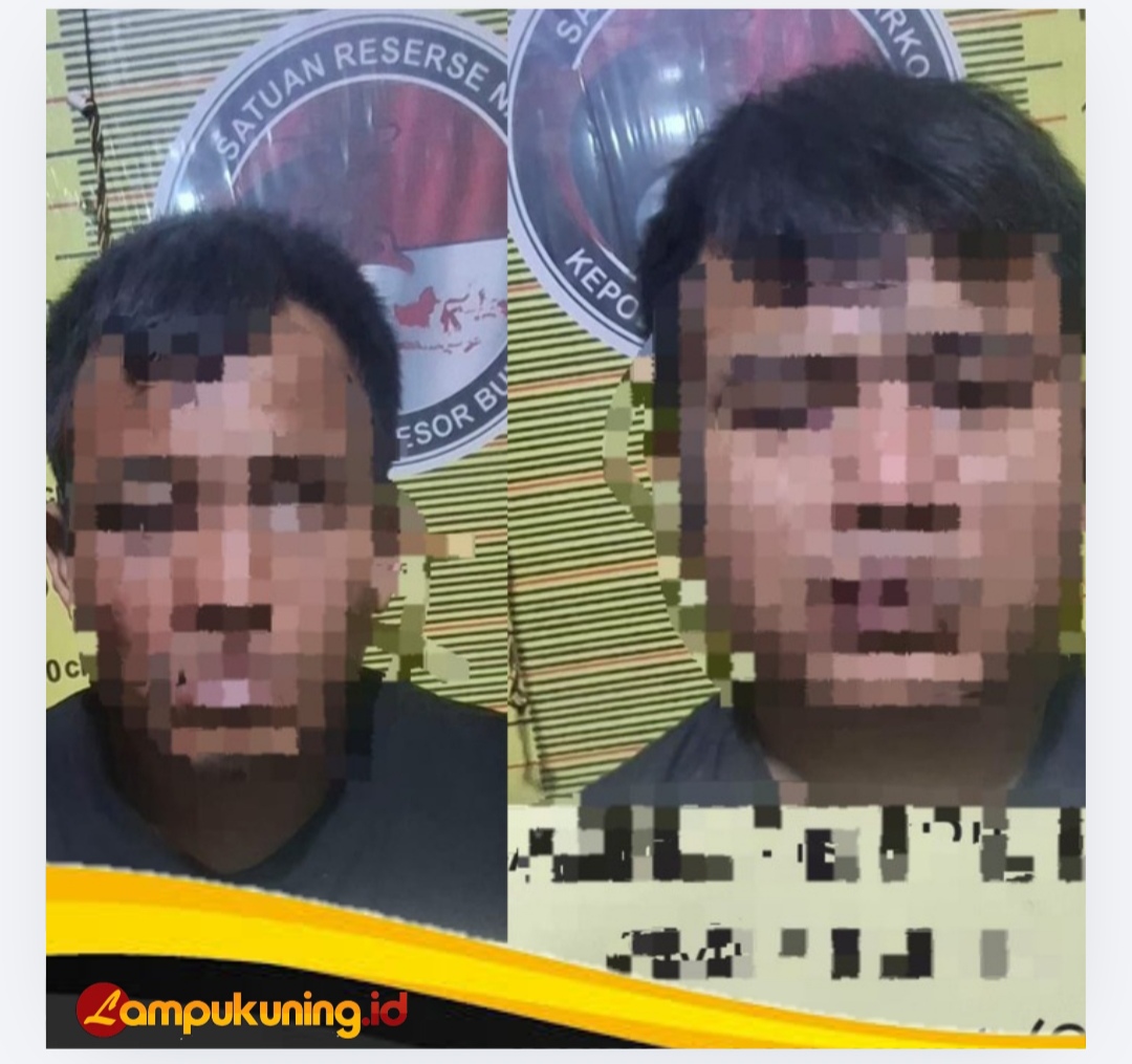 Sabu 33,,77 Gram dan Senpi beserta Dua Terduga Pelaku Diamankan Satresnarkoba Polres Bungo