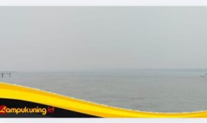 Dari Pagi hingga Siang, Perairan Kuala Tungkal Diselimuti Kabut Asap Tebal, Warga Mulai Rasakan Dampaknya.