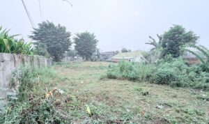 Berinvestasi Tanah di Kota Jambi, Ada Sebidang Tanah Mau Dijual