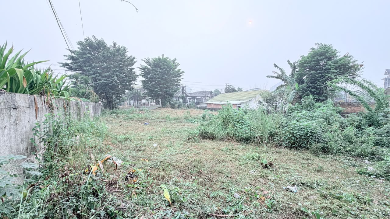 Berinvestasi Tanah di Kota Jambi, Ada Sebidang Tanah Mau Dijual