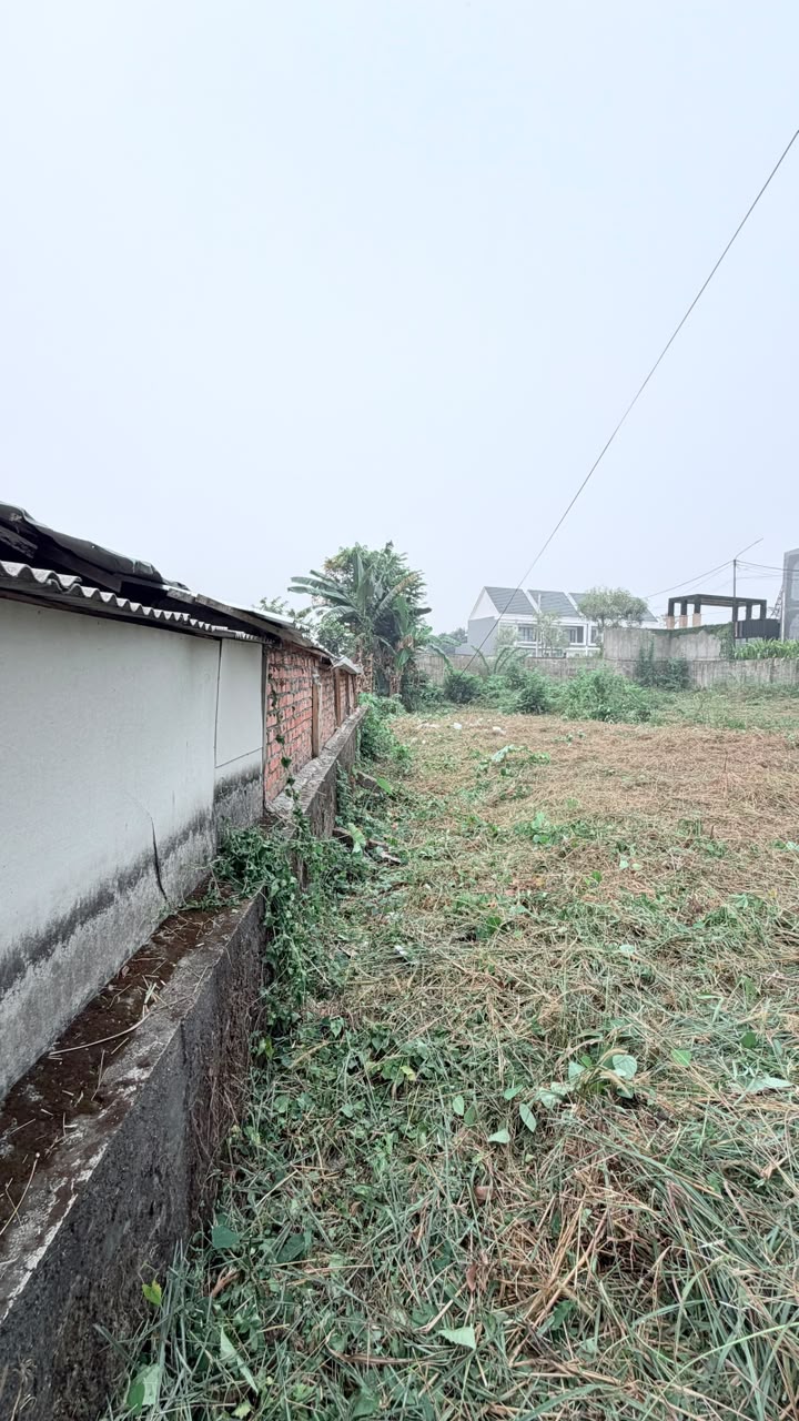 Berinvestasi Tanah di Kota Jambi, Ada Sebidang Tanah Mau Dijual 2 Berinvestasi Tanah di Kota Jambi, Ada Sebidang Tanah Mau Dijual