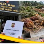 Lahan Sawit HGU Diduga Dirusak, Ketua Koperasi OGMI Lapor ke Polda Jambi